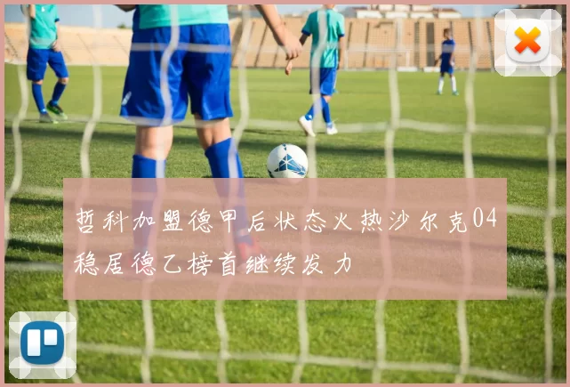 哲科加盟德甲后状态火热沙尔克04稳居德乙榜首继续发力
